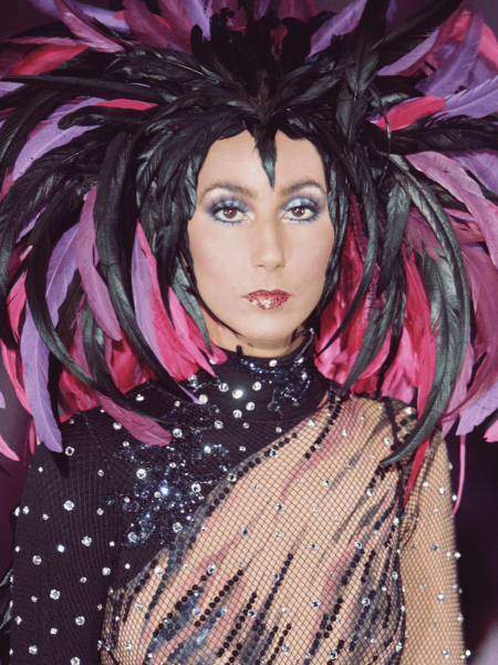 Cher feather headress